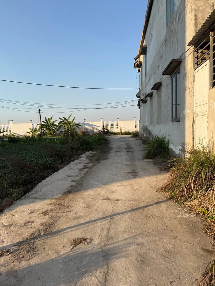 Đất nền An Bình, Thuận Thành 100m² giá 2.5 tỷ - Vị trí vàng cho đầu tư!