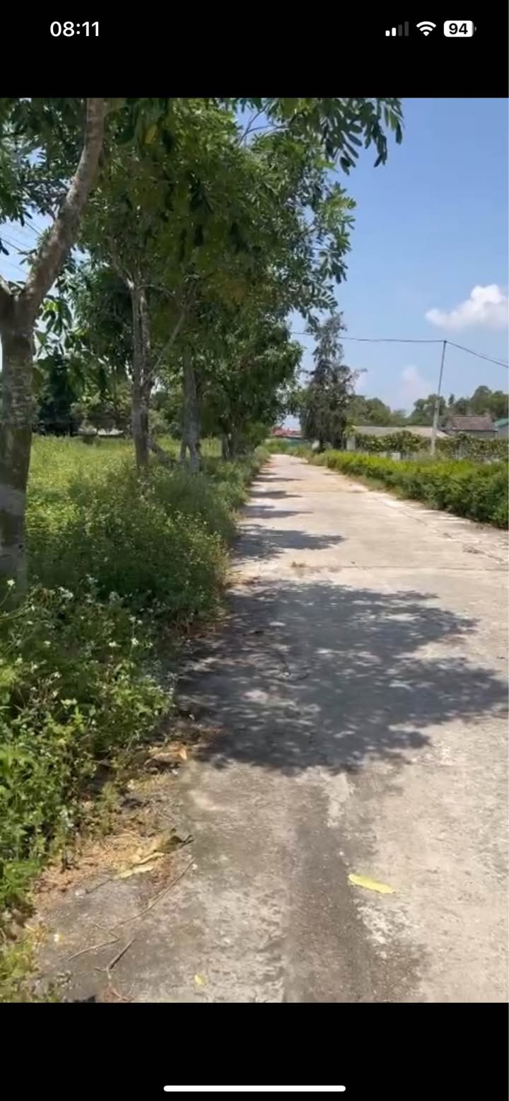 Đất Thạch Trị 250m² giá 1.2 tỷ - Cần bán gấp, đầu tư lý tưởng!