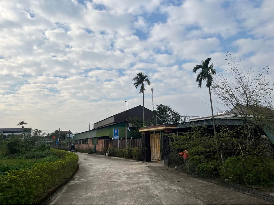 Đất nền Cẩm Vịnh 513m² giá 2.2 tỷ - Vị trí đắc địa gần vòng xoay