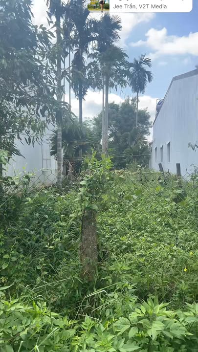 Đất nền đường Phan Huy Chú, thị trấn Phước An, 175.5m² - Giá tốt, vị trí đắc địa!