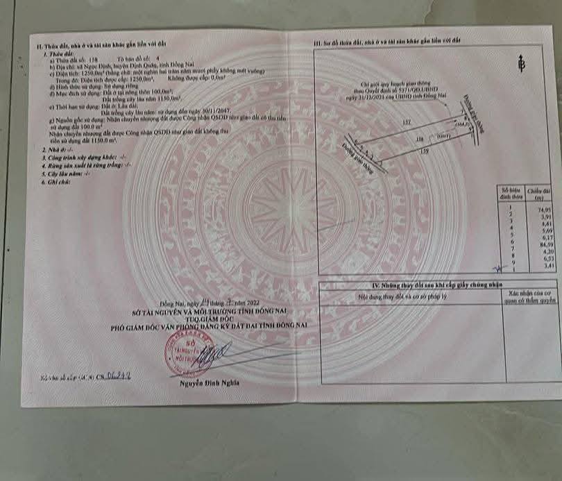 Đất Ngọc Định, Định Quán 1250m² - Mặt tiền kinh doanh, giá hấp dẫn!