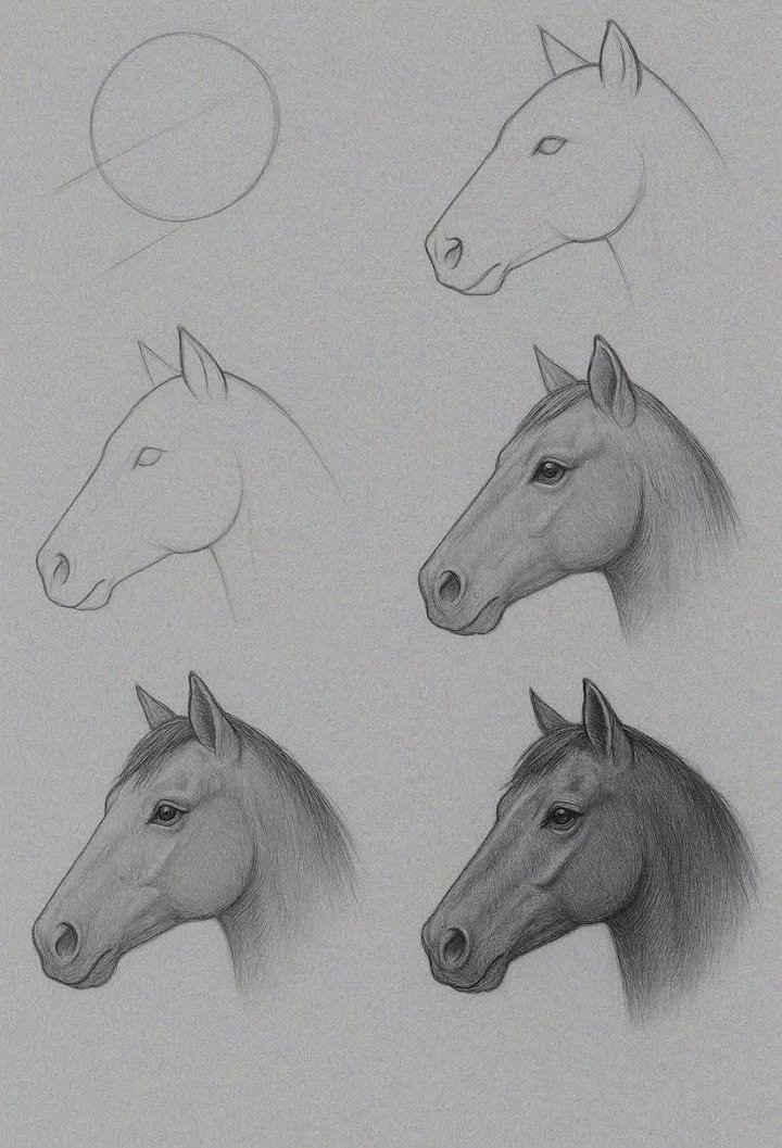 Nhà riêng Trảng Bom 100m² giá 1.4 tỷ - Thổ cư 100%, thương lượng tốt!