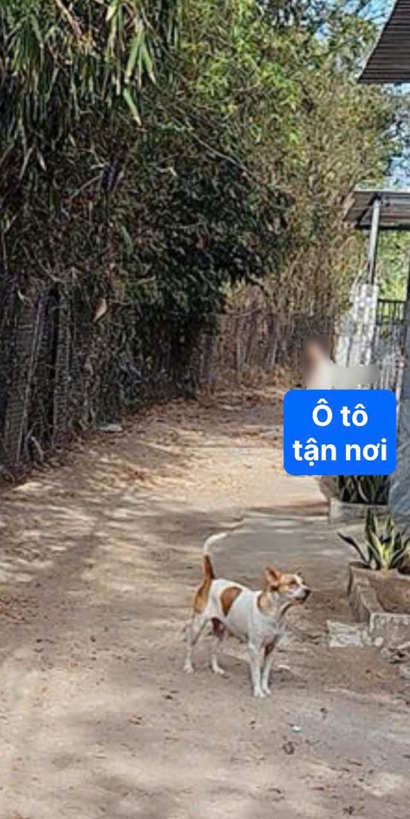 Đất nền Long Sơn, Vũng Tàu 15.000m² giá 30 tỷ - Sổ riêng, vị trí đắc địa!