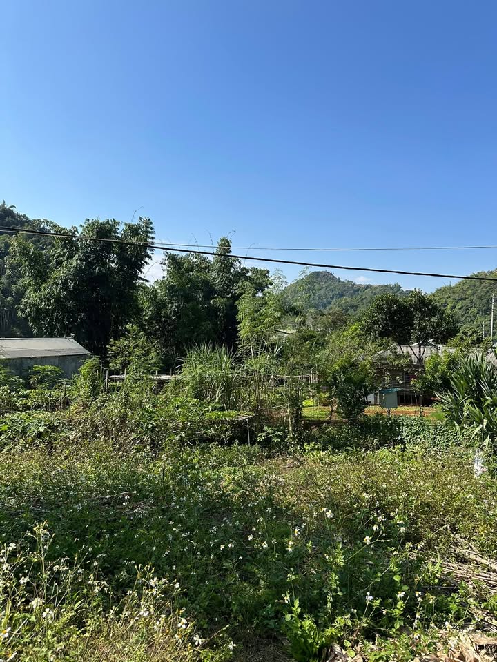 Đất nền đẹp 526m² tại Quyết Thắng, Sơn La - Phù hợp xây biệt thự nhà vườn!