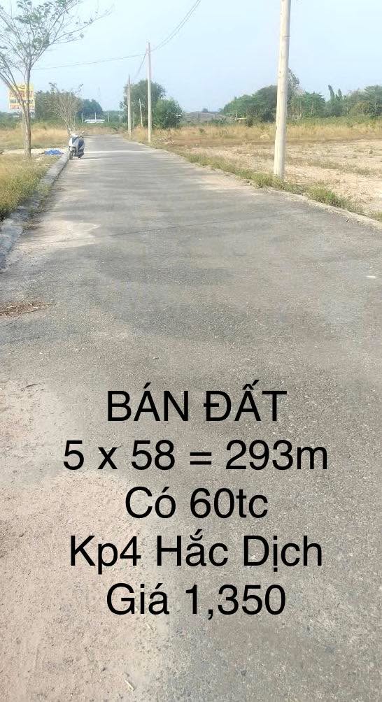 Đất đầu tư Tân Thành Tân Phú 293m² giá 1.35 tỷ - Vị trí trung tâm tiện ích!