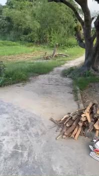 Đất nền Phò Nam, Quảng Thọ 166m² giá chỉ 200 triệu - Cơ hội đầu tư lý tưởng!