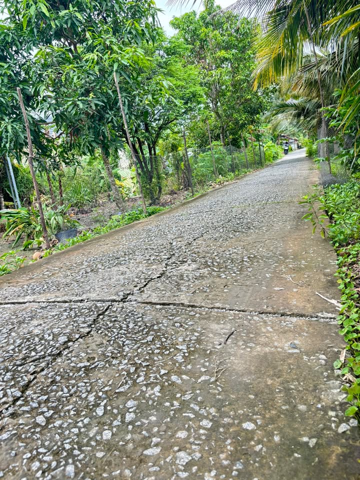 Đất mặt tiền KH1 Minh Tân, Châu Thành, Kiên Giang 1190m² - Đầu tư sinh lời ngay!