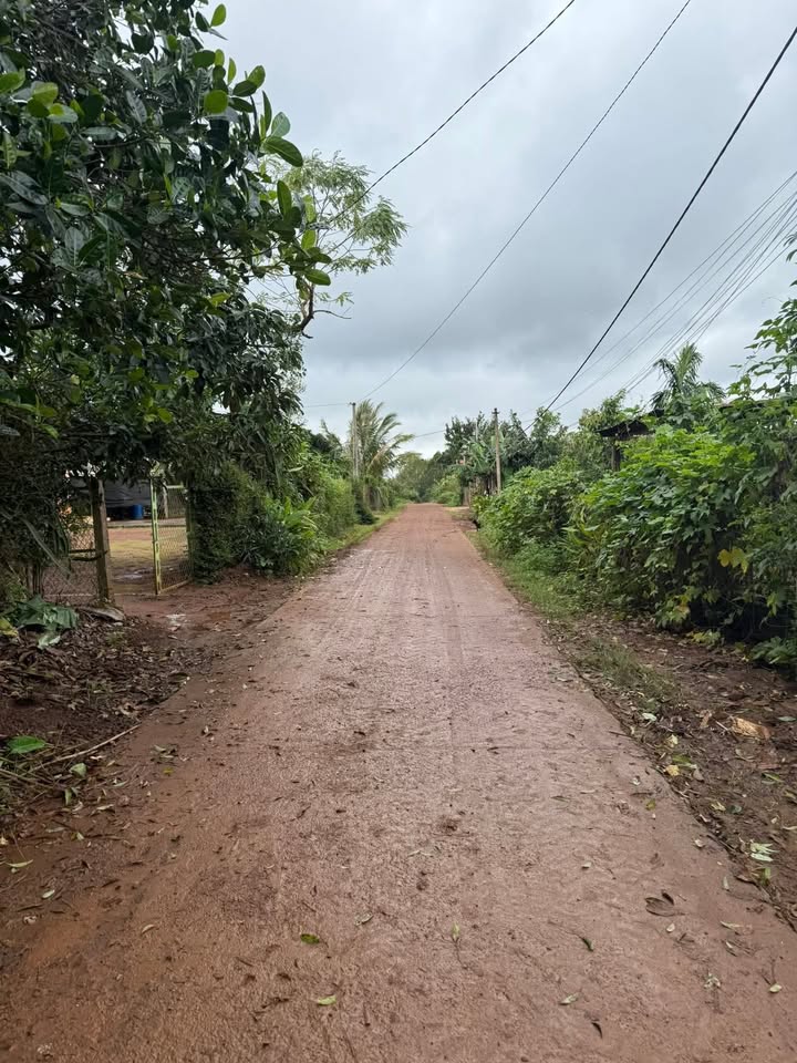 Đất nền Ea Hồ 250m² giá 370 triệu - Cơ hội đầu tư sinh lời!