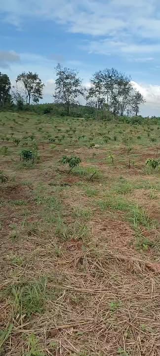 Đất nông nghiệp thôn 8, xã Ea Khal 3.6ha giá 5.76 tỷ - Gần đường liên xã thuận lợi!