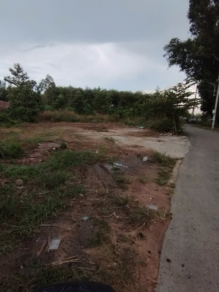 Đất nền Dầu Tiếng 1280m² giá 1.8 tỷ - Cơ hội đầu tư hấp dẫn!