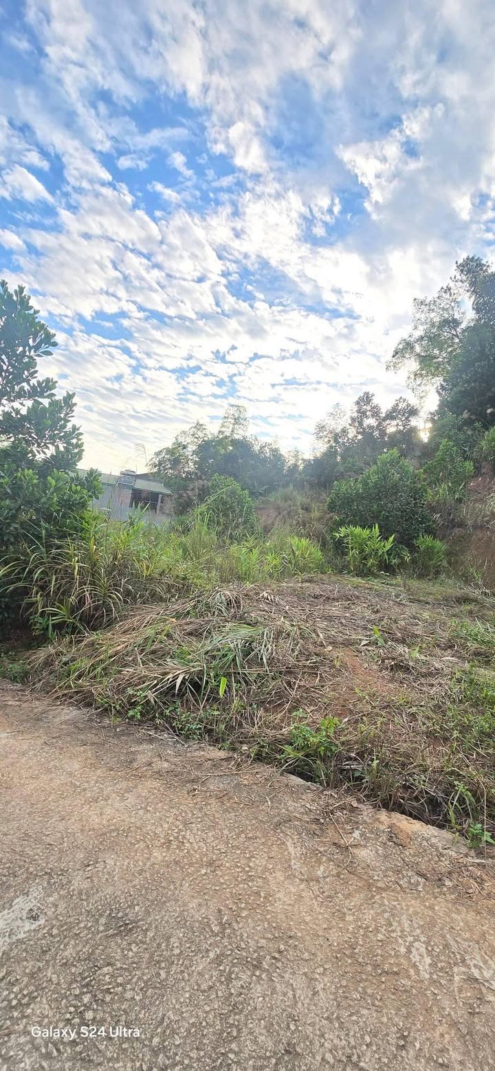 Đất vườn Sông Bằng 188m² giá 500 triệu - Đường ô tô đỗ tận nơi!