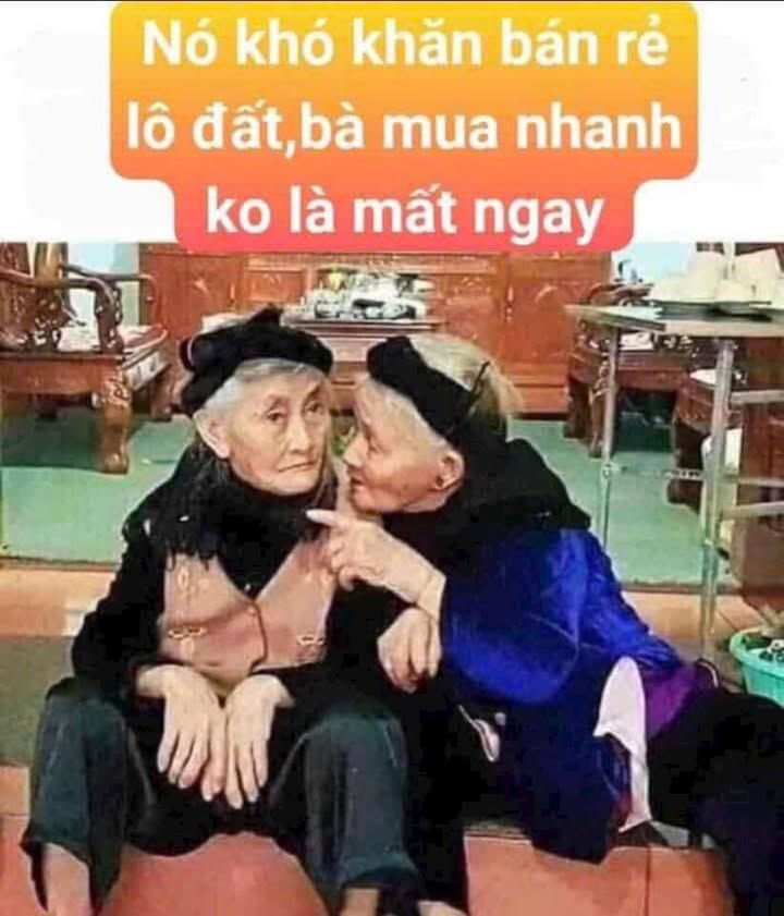 Đất nền Thanh Lương Vĩnh Bảo 100m² - Chính chủ, hai mặt tiền, giá thỏa thuận!