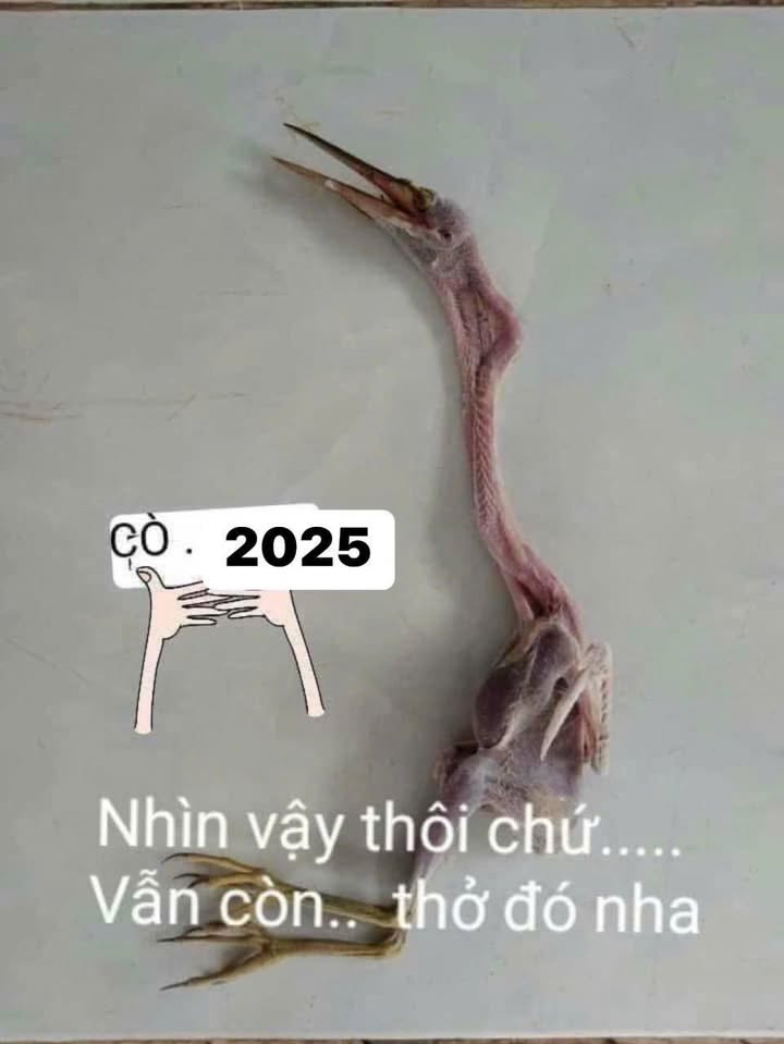 Đất Hẻm 5m Nguyễn Sơn, Quận Tân Phú 76m² giá 6.4 tỷ - Cơ hội đầu tư hấp dẫn!