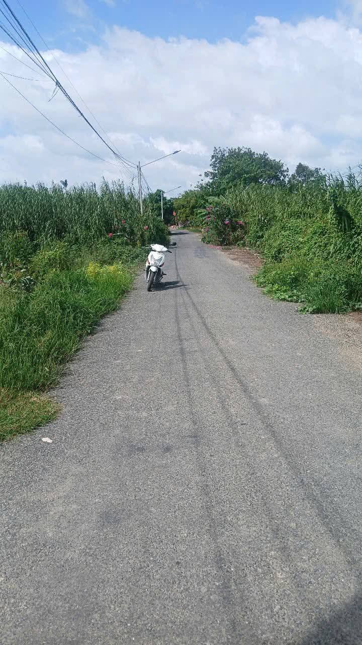 Bán lô đất 1.640m² đường Nguyễn Văn Sớm - Mỹ Trà - Đầu tư sinh lời ngay!