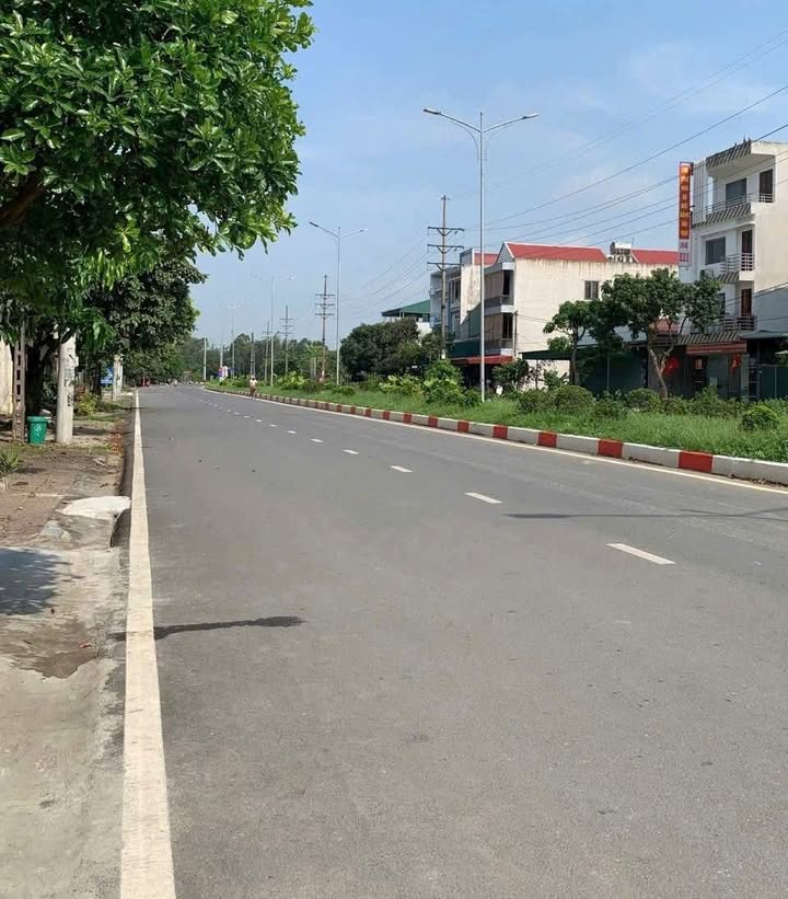 Đất mặt đường Triệu Việt Vương Ninh Bình 84m² giá 5 tỷ - Cơ hội đầu tư hấp dẫn!