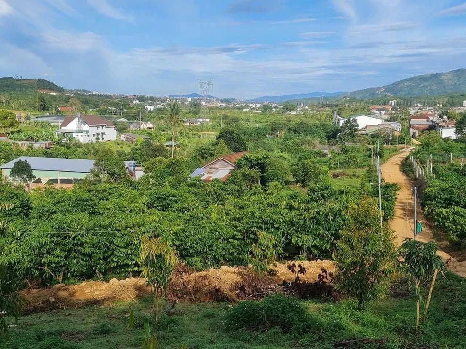 Lô đất 655m² tại Phường 3, Bảo Lộc, giá chỉ 850 triệu - Cơ hội vàng đầu tư!