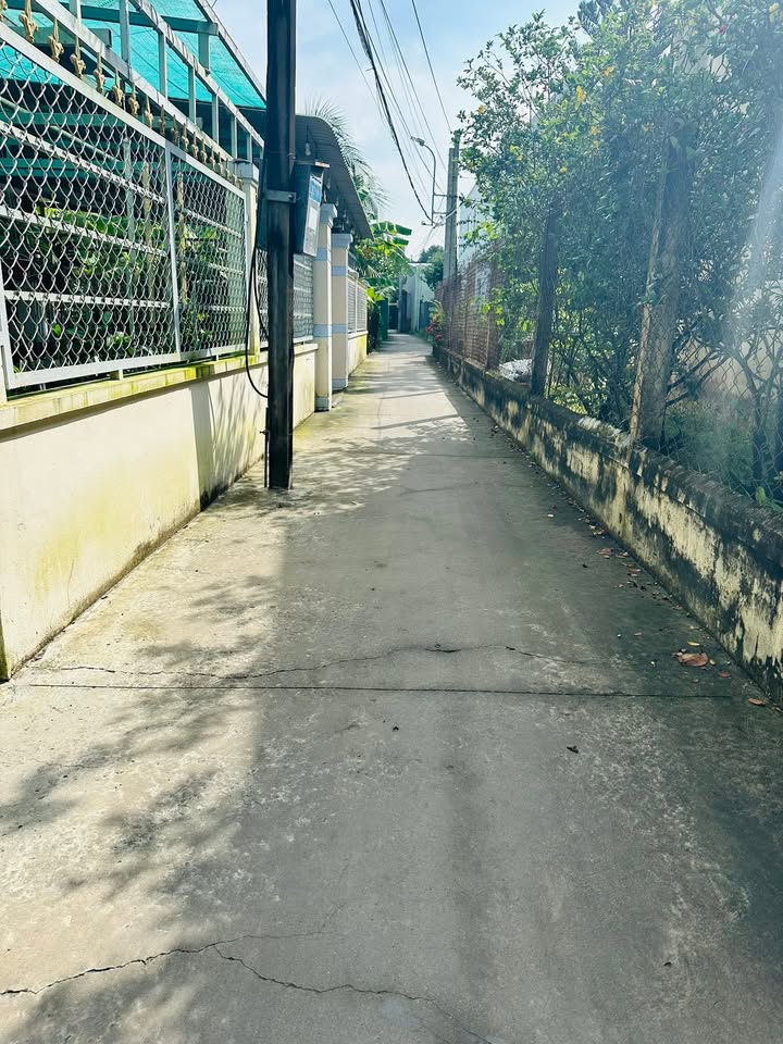 Đất nền Tân Mỹ Chánh, Mỹ Tho 230m² giá chỉ 700 triệu - Đầu tư sinh lời ngay!