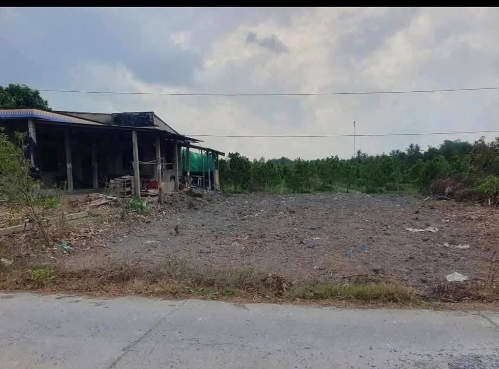 Đất nền liền kề Tân Bình, Cai Lậy 120m² giá 300 triệu - Cơ hội đầu tư tuyệt vời!