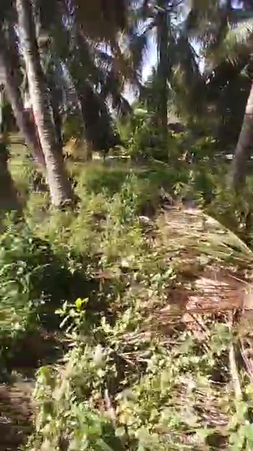 Đất nền Tân Hội Trung, Cao Lãnh 21,000m² giá 180 triệu - Pháp lý rõ ràng!