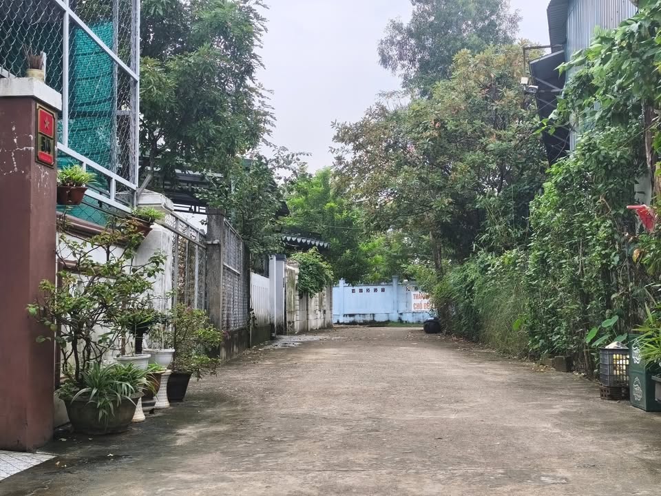 Đất nền đẹp tại phường Nam Đông Hà 81m² - Lô góc 3 mặt tiền, giá thương lượng hấp dẫn!