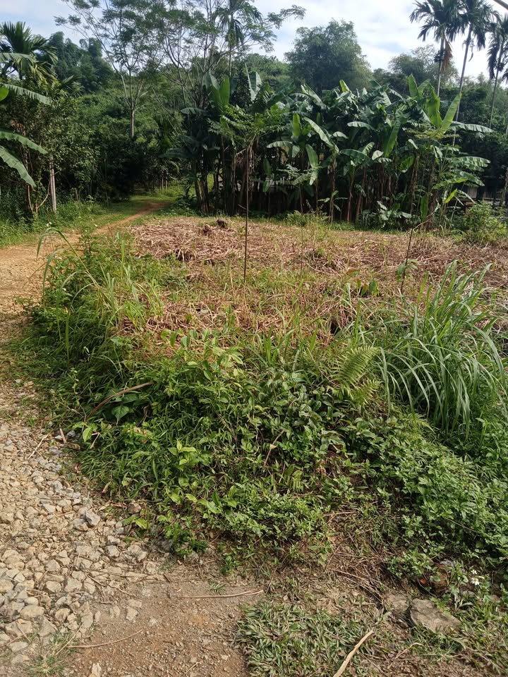 Đất nền 480m² tại xã Lỗ Sơn, huyện Tân Lạc, Hòa Bình - Giá chỉ 1.92 tỷ