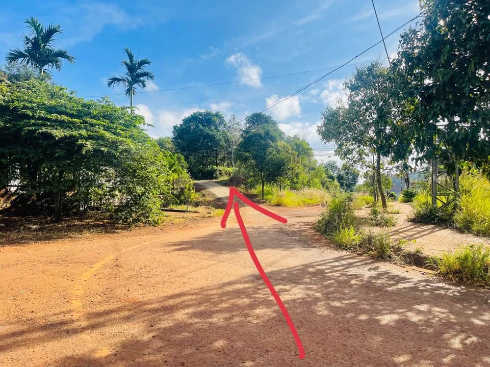 Đất nền trục chính đường Trần Trung Lương, phường Nghĩa Đức 380m² giá 450 triệu - Cơ hội đầu tư hiếm có!