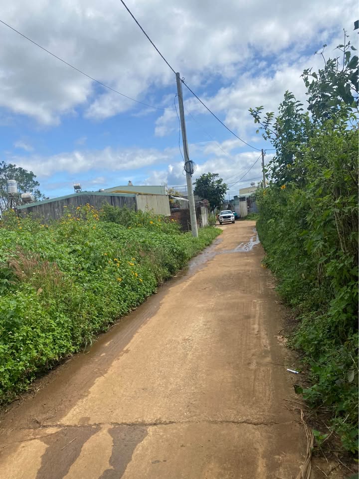 Đất thổ cư 175m² hẻm Trường Chinh, Pleiku - Giá chỉ 600 triệu!