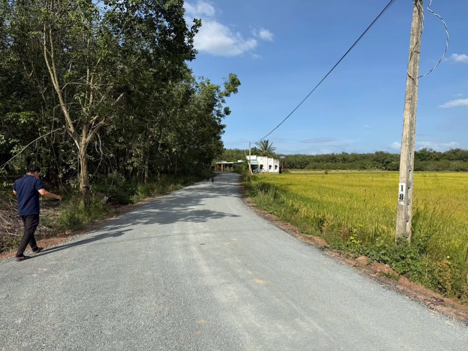 Đất thổ cư Tân Biên 260m² giá chỉ 200 triệu - Cơ hội đầu tư hấp dẫn!