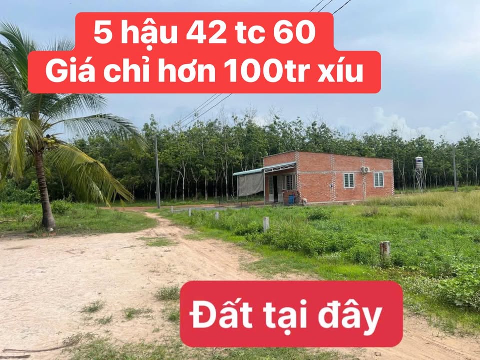 Đất nền Thạnh Bình, Tân Biên 60m² giá chỉ 100 triệu - Cơ hội đầu tư hấp dẫn!