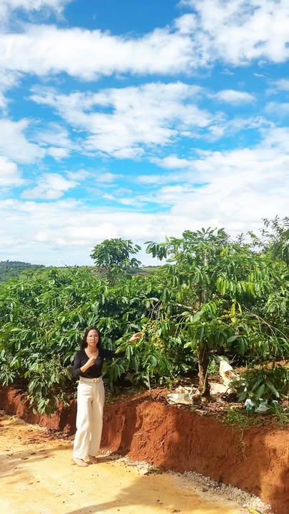 Đất nền Mê Linh Lâm Đồng 1100m² giá 1.1 tỷ - Cơ hội đầu tư tuyệt vời!