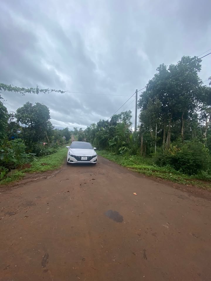 Đất thổ cư góc 459m² tại Buôn Hồ - Hướng Tây, giá chỉ 2.35 tỷ!