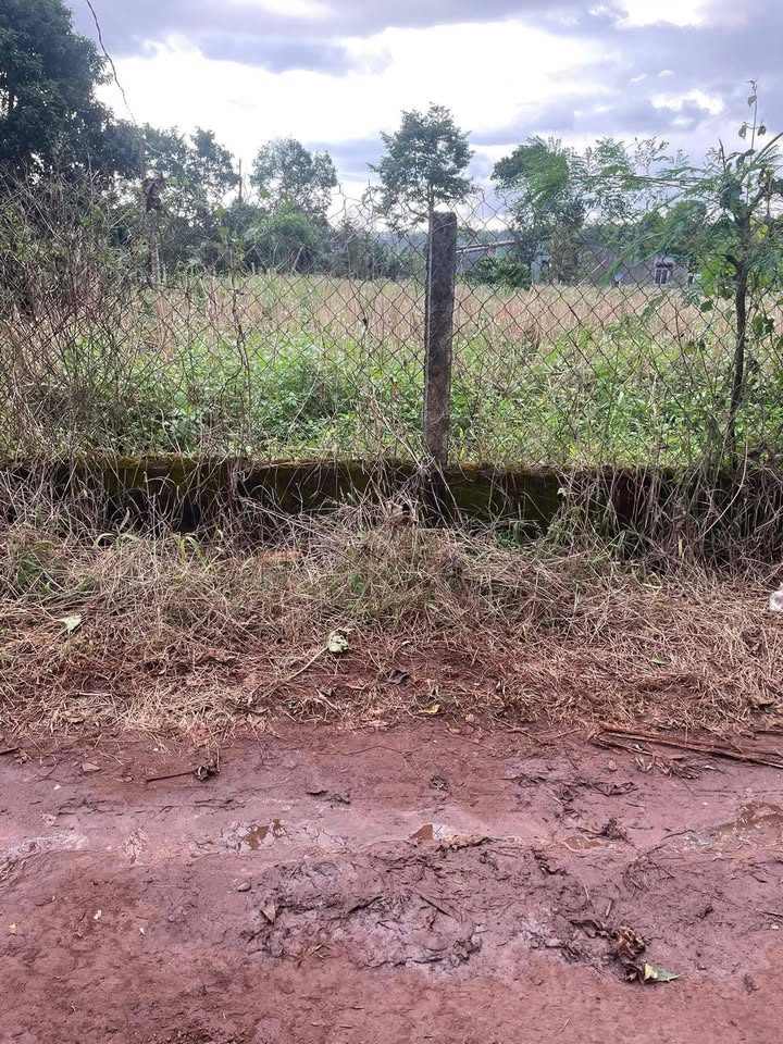 Đất nền thôn Ea Tút, xã Pơng Drang, 210m² giá 1.3 tỷ - Pháp lý rõ ràng!