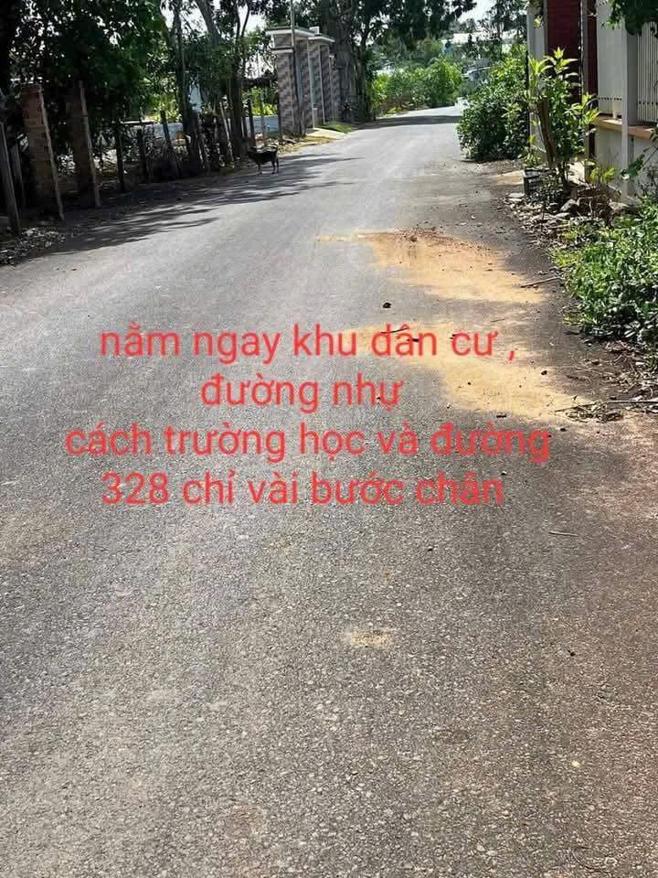 Đất nền Phước Tân 2449m² giá 4 tỷ - Cơ hội đầu tư vàng!