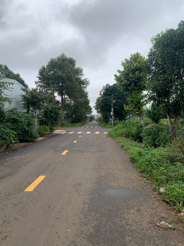 Đất nền thổ cư 275m² tại đường Nguyễn Công Trứ, Thị trấn Ea Kar - Giá chỉ 2.31 tỷ VND!