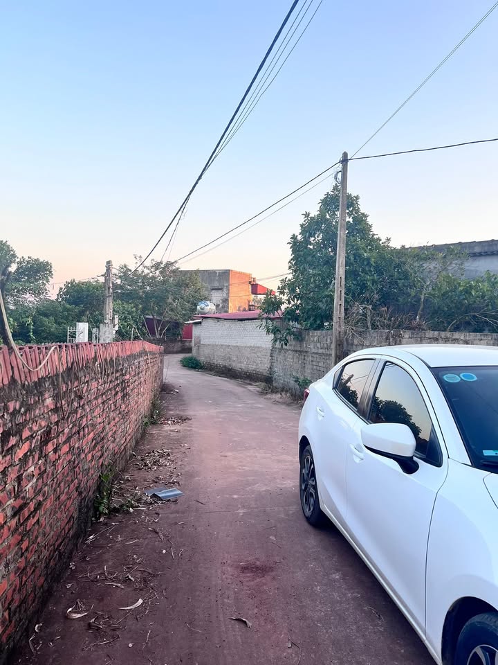 Đất vườn Tam Dị Lục Nam 1115m² giá 1.3 tỷ - Đầu tư sinh lời tiềm năng!