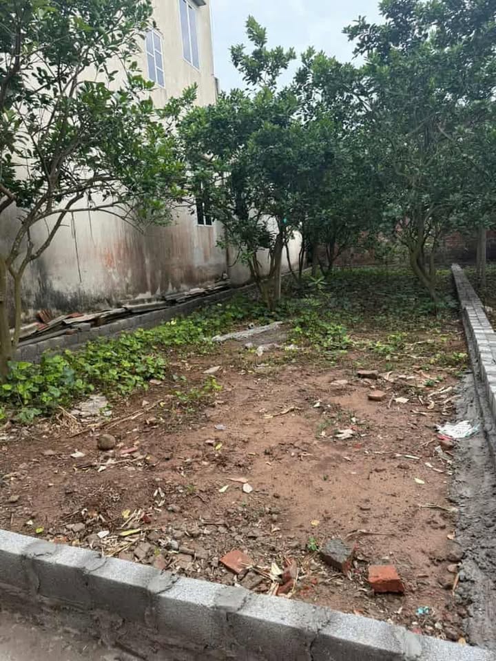 Đất nền Vân Tảo 74.8m² giá 4.39 tỷ - Lô góc, vị trí đắc địa!