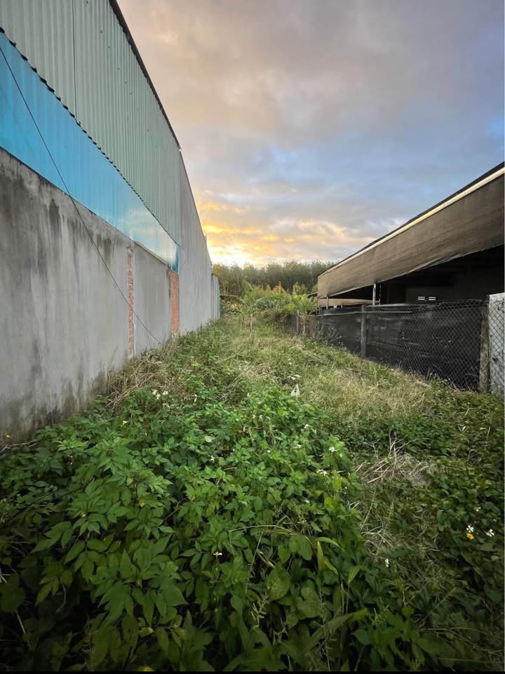 Đất nền đường Trần Đại Nghĩa, phường Nguyễn Trãi, 375m² - Giá chỉ 900 triệu!