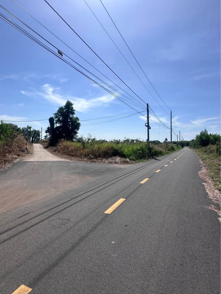 Đất nền Phước Long Thọ 288m² giá 1.9 tỷ - Cơ hội đầu tư hấp dẫn!