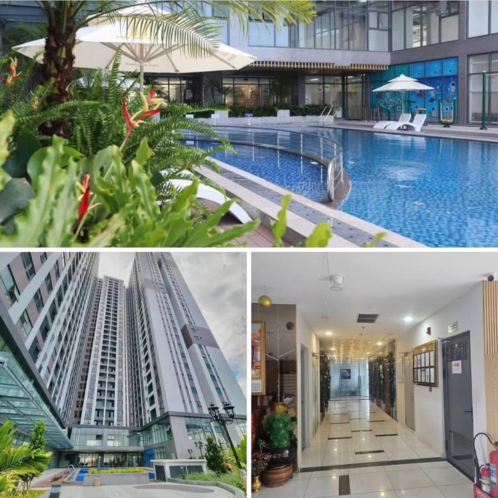 Căn hộ Phúc Đạt Tower Dĩ An 53m² giá 1.9 tỷ - Sổ hồng chính chủ!