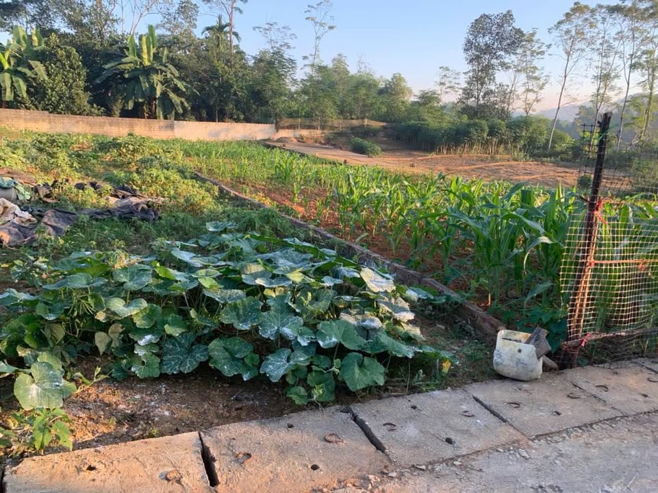 Đất nền Hoàng Khai Yên Sơn 100m² giá 550 triệu - Đầu tư sinh lời ngay!