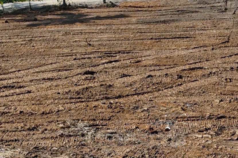 Đất phân lô Chân Sơn, Yên Sơn 129m² giá 500 triệu - Sổ hồng chính chủ!