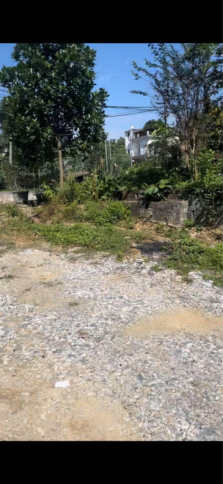 Đất nền phường Nông Tiến, Tuyên Quang 182.8m² chỉ 1.6 tỷ - Phù hợp đầu tư sinh lời!