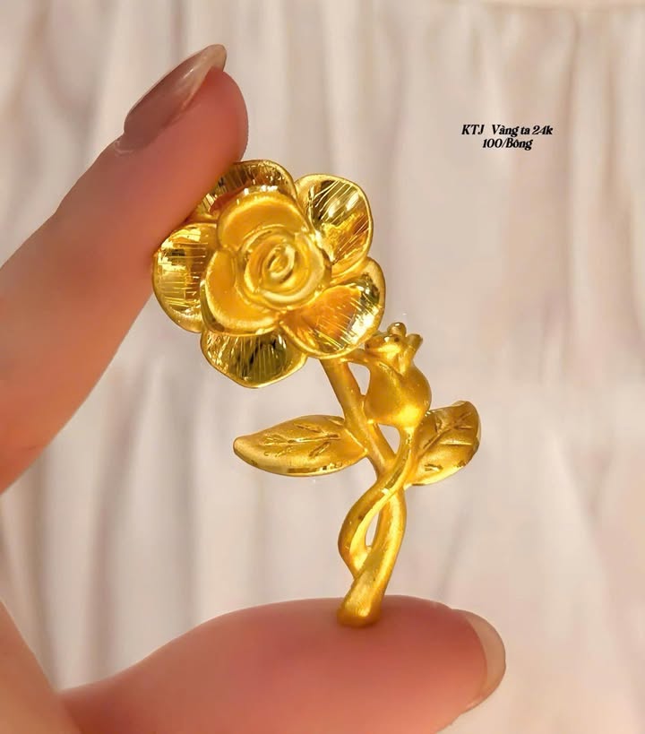 Đất nền Đất Đỏ 400m² giá 4 tỷ - Mặt tiền đường quốc lộ 55, cơ hội đầu tư tuyệt vời!