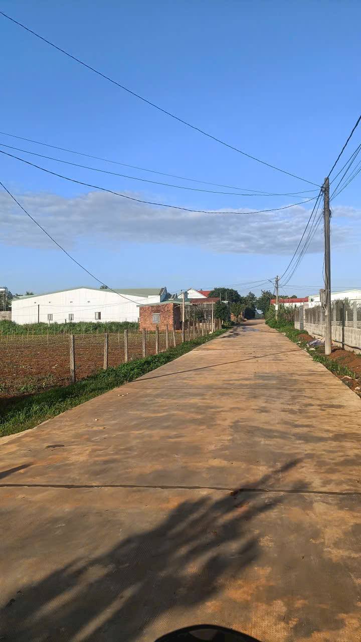 Đất nền hẻm 21 Nguyễn Tuân, Pleiku 117m² giá 600 triệu - Cơ hội đầu tư tuyệt vời!