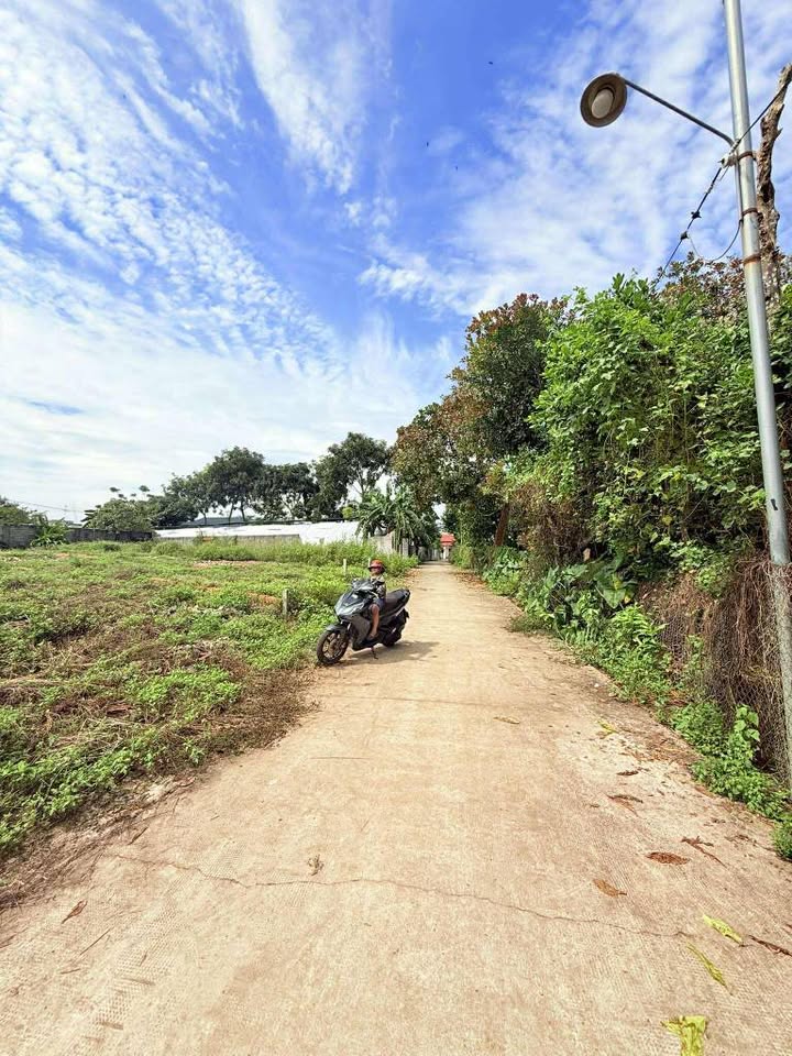 Đất nền Bảo Vinh 216m² giá 980 triệu - Sổ đỏ chính chủ, tiện ích đầy đủ!