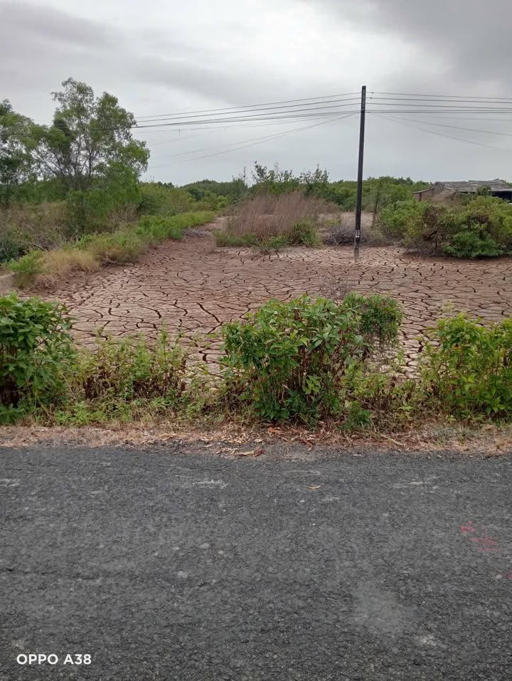 Đất thổ cư Tân Ân Ngọc Hiển 370m² giá 550 triệu - Cơ hội đầu tư hấp dẫn!