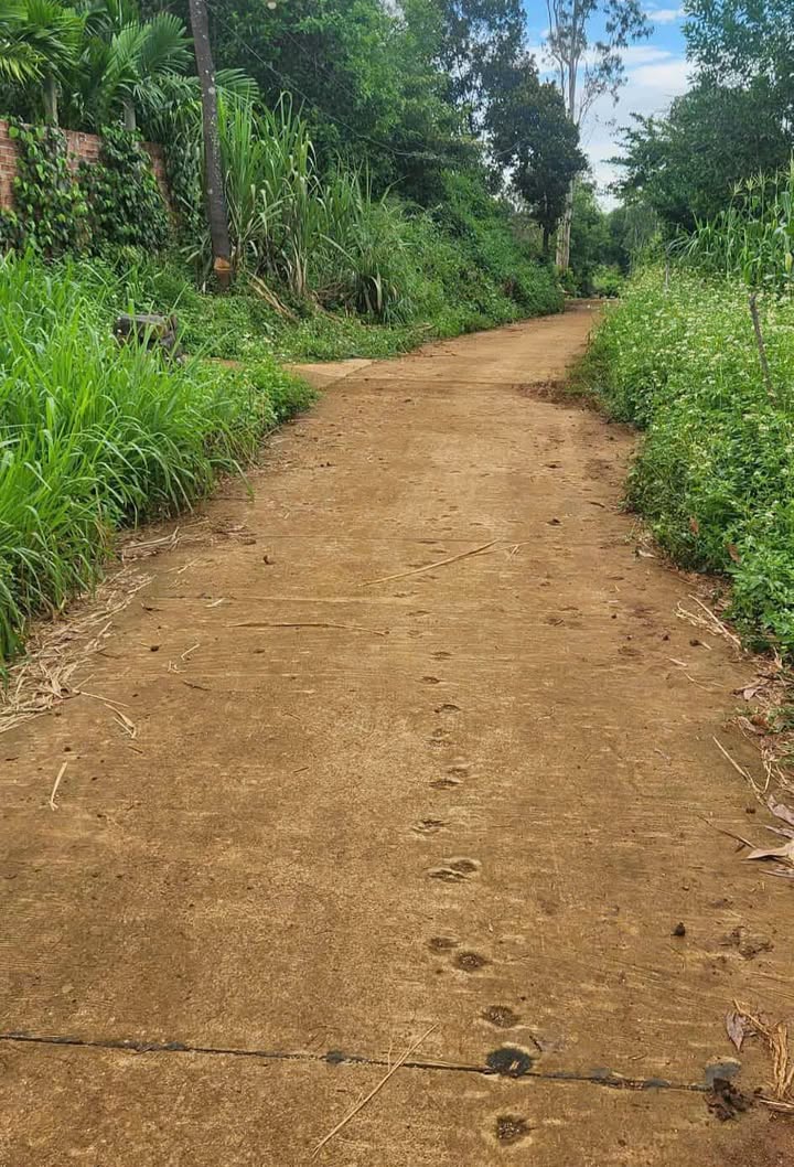 Đất bán thôn Vạn Tường, xã Bình Hải, diện tích 899m² - Giá thỏa thuận hấp dẫn!