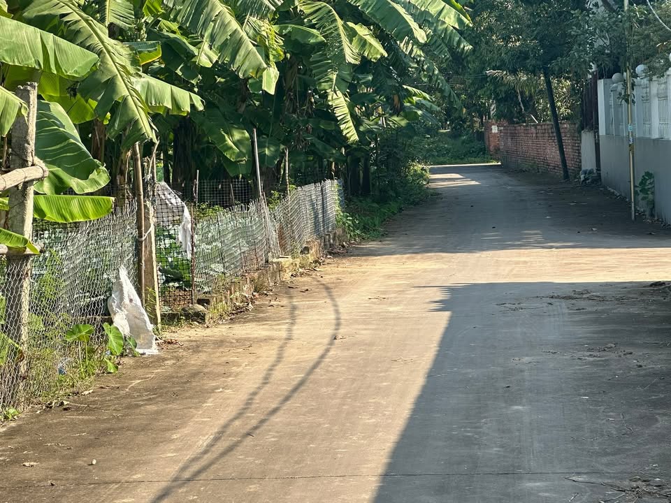 Đất thổ cư Đỗ Sơn, Thanh Ba 210m² giá 1.3 tỷ - Cơ hội đầu tư tuyệt vời!