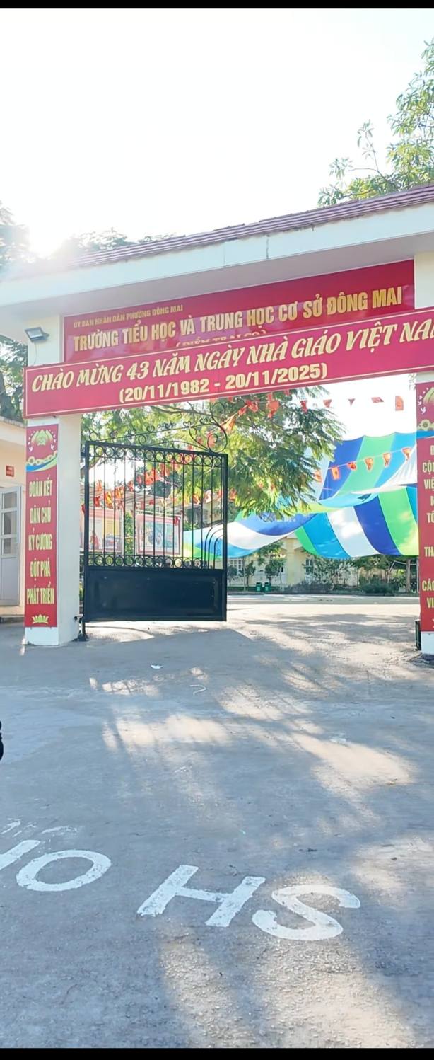 Đất nền Đông Mai 110m² - Full phòng cho thuê, vị trí đắc địa!