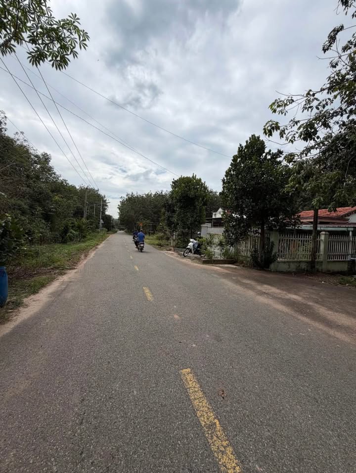 Đất nền Long Nguyên, Bàu Bàng 1240m² giá 2 tỷ - Cơ hội đầu tư tuyệt vời!